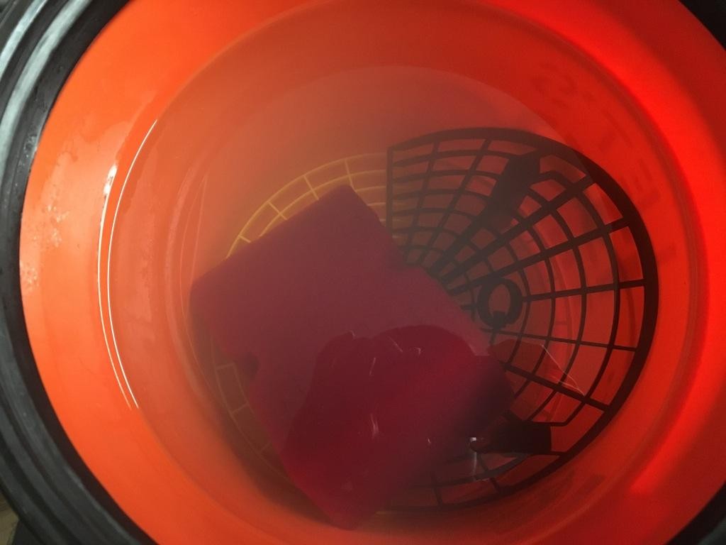 5 day old ONR