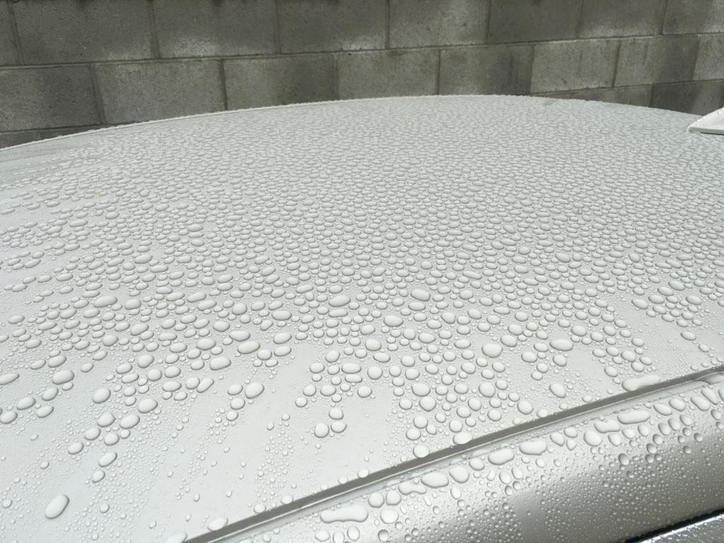 5 Month Rain Beads 12/31/2016
