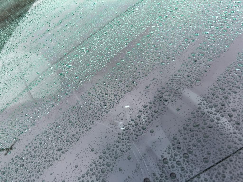 5 Month Rain Beads 12/31/2016