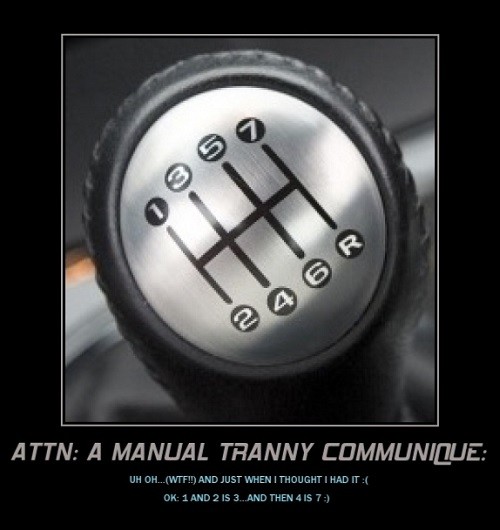 51462119