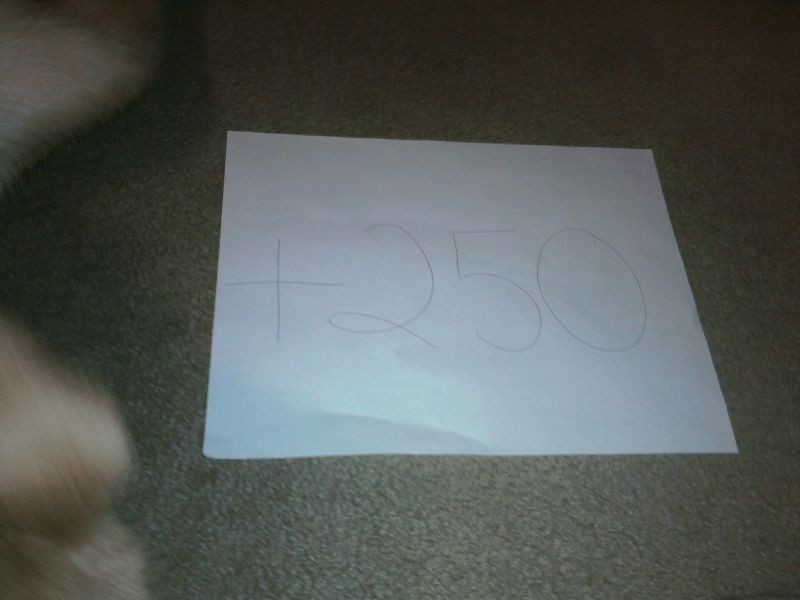 6006