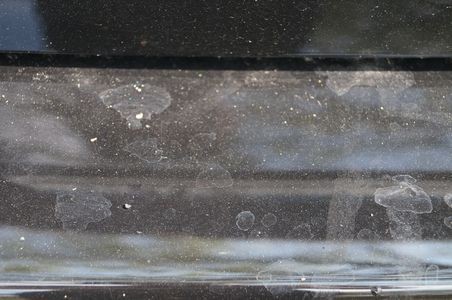 600_DSC00091
