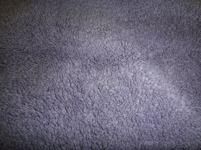 600_DSC01543