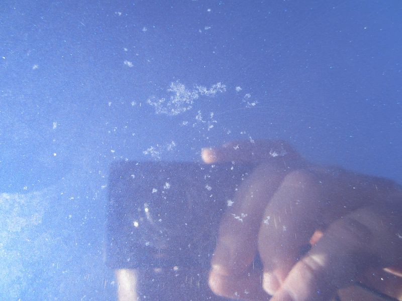 800_Bird_Droppings_021