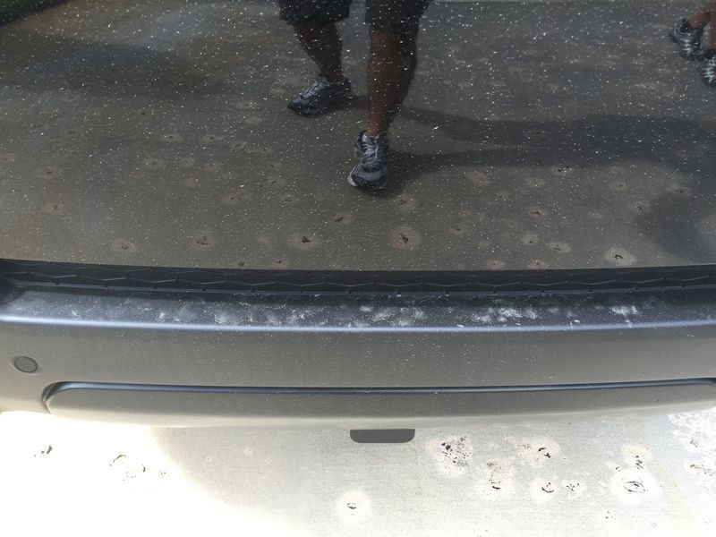 800_cardetailingwestpalmbeachbeforeshots_5_