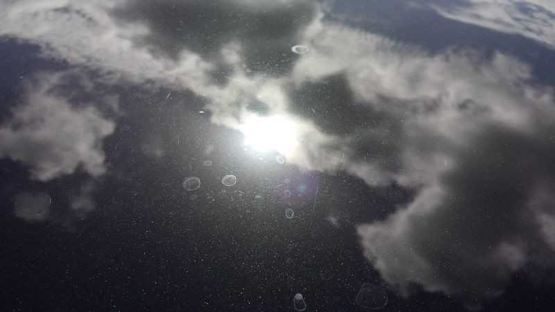 800_cardetailingwestpalmbeachcarpolishing_1_