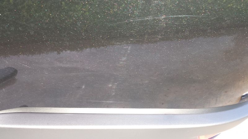 800_cardetailingwestpalmbeachpaintcorrection_4_