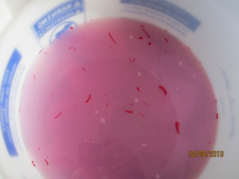 800_Duragloss_Rinseless_Wash_05