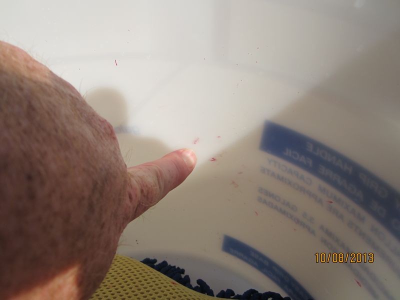 800_Duragloss_Rinseless_Wash_07