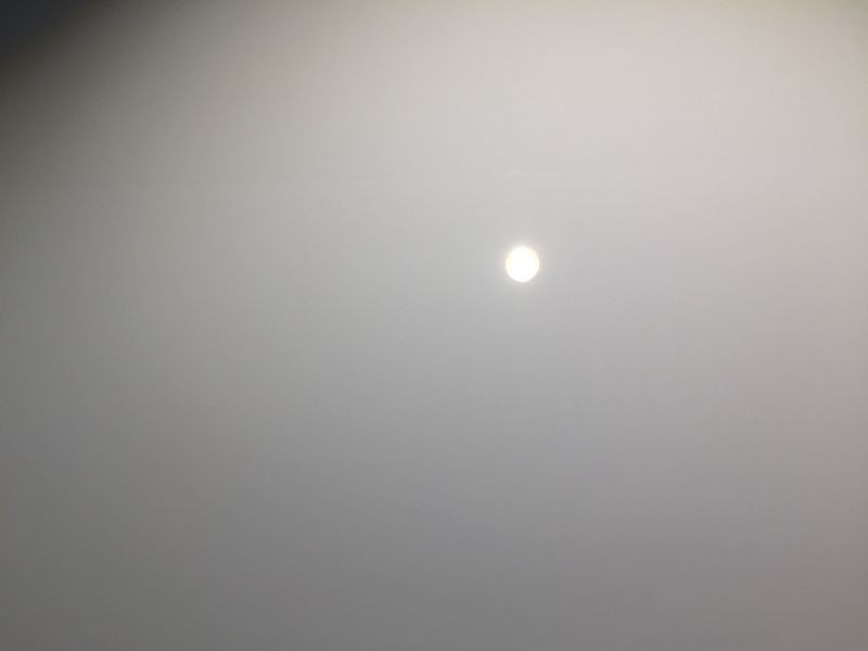 800_IMG_3214