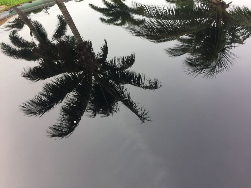 800_IMG_4012