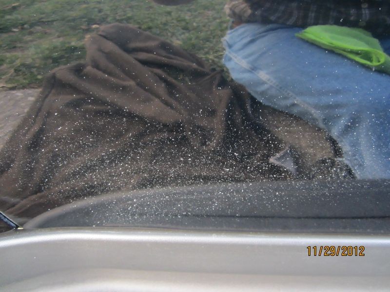 800_Trashed_Trailblazer_187