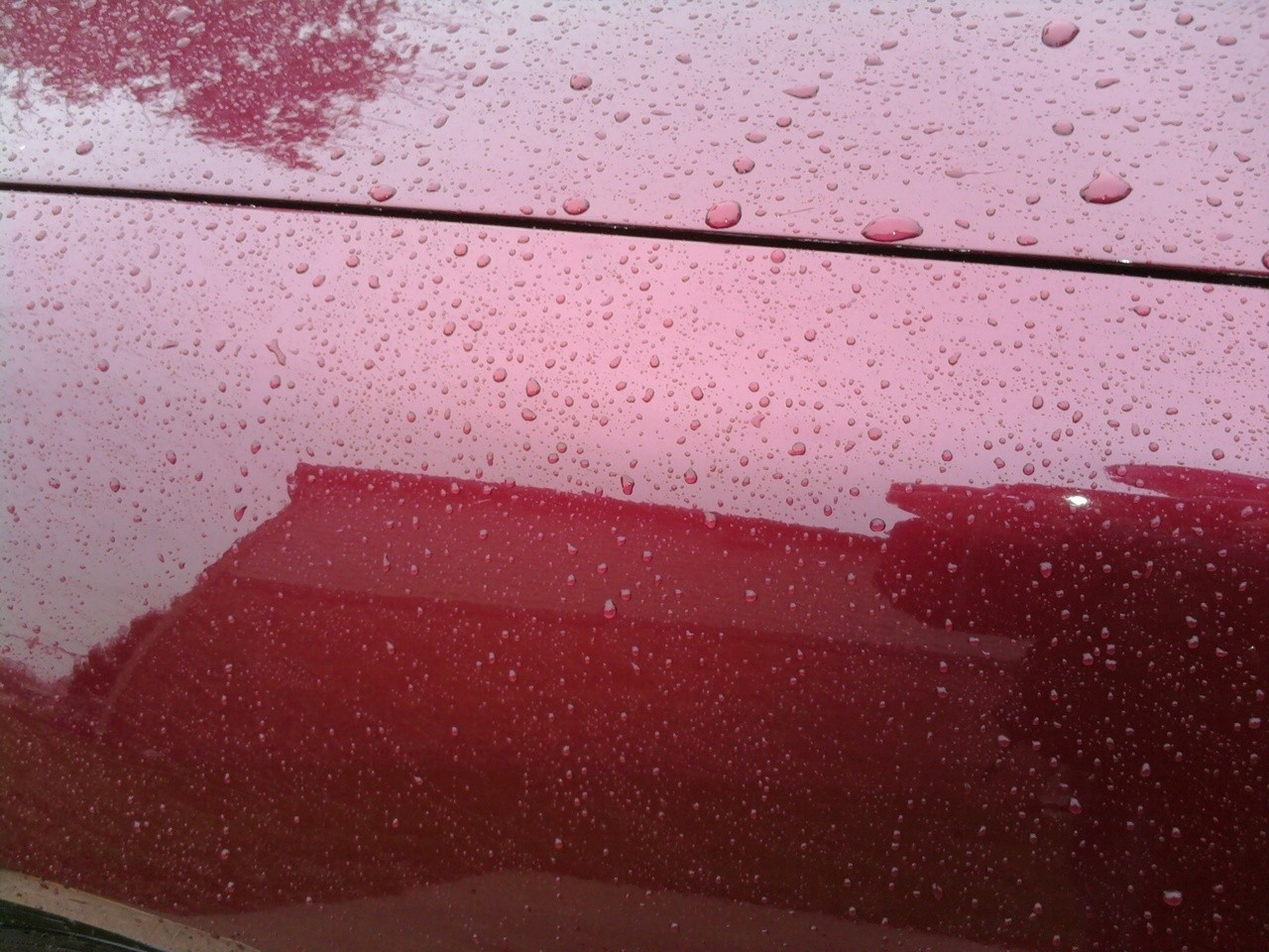 845 on hood/ front quarter panel