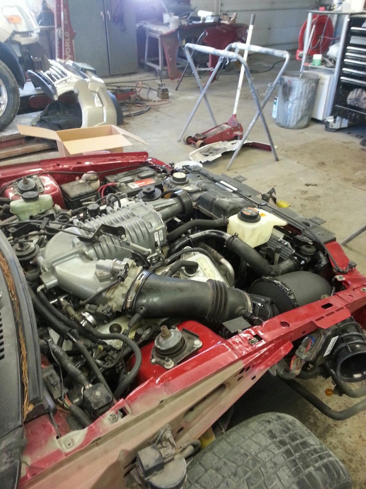 919939_545734988810560_1296782608_o