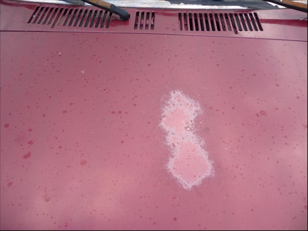 92 Mazda Hood