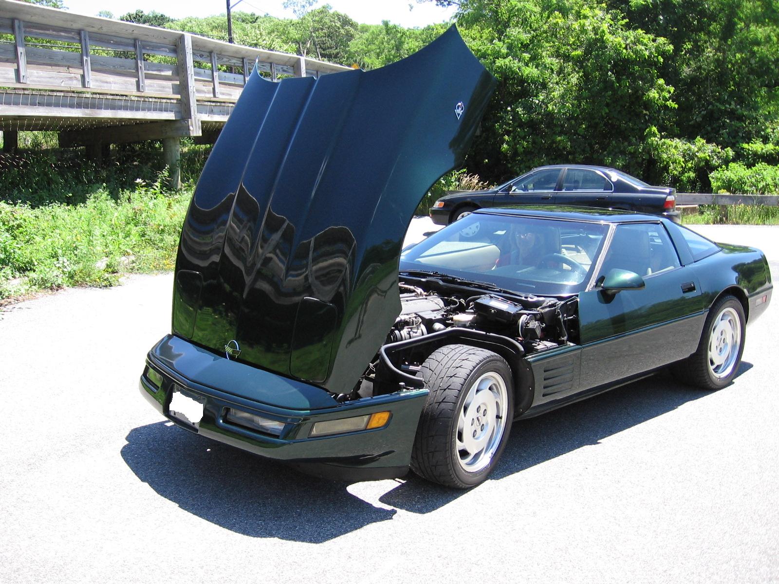 93 vette