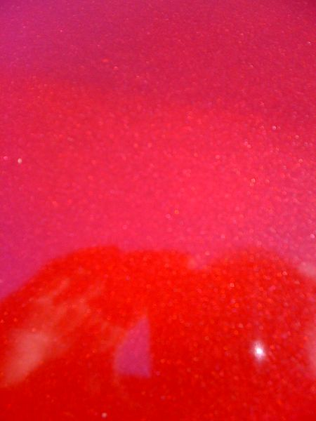 94_resize_hood_after_2nd_coat_845