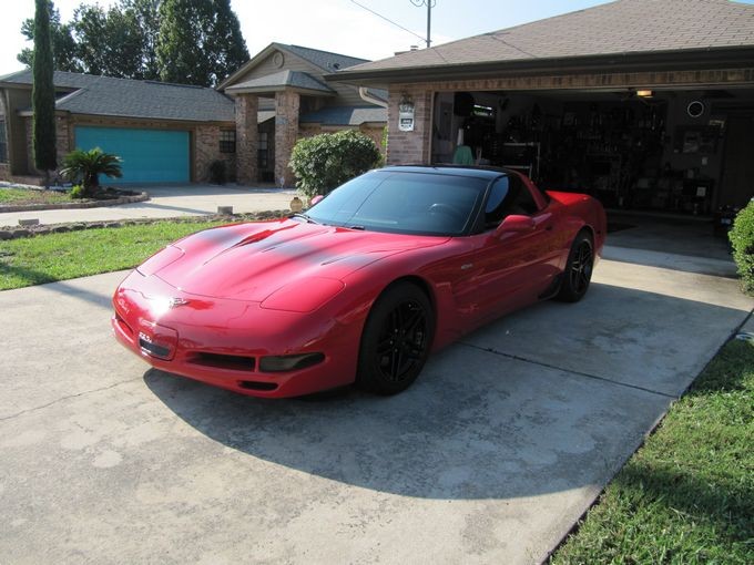 97 vette