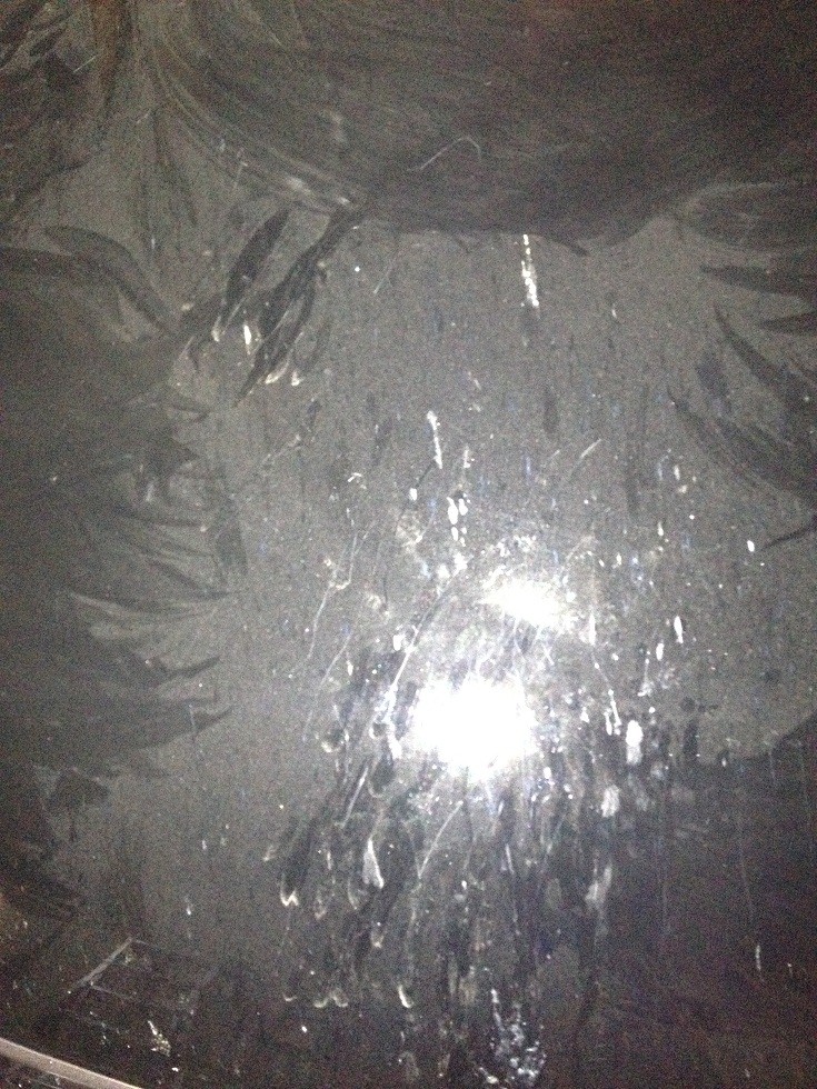 After bird bath 2