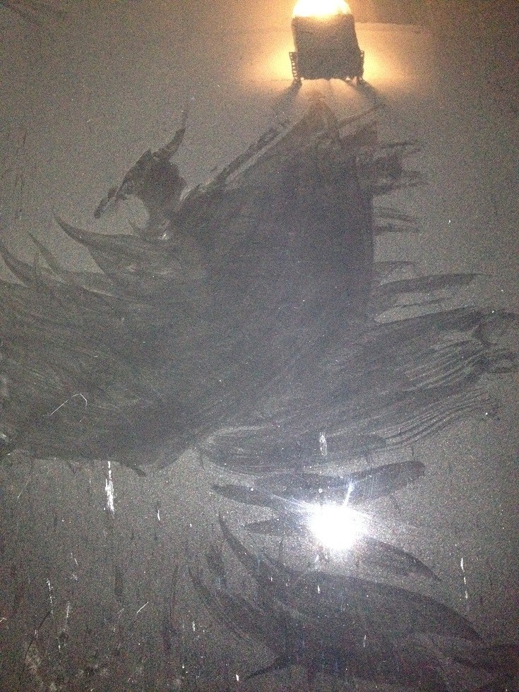 After Bird bath