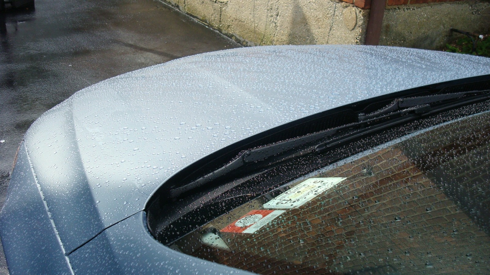 After_Rain_-_Front_-_Beading_-_DSC03280