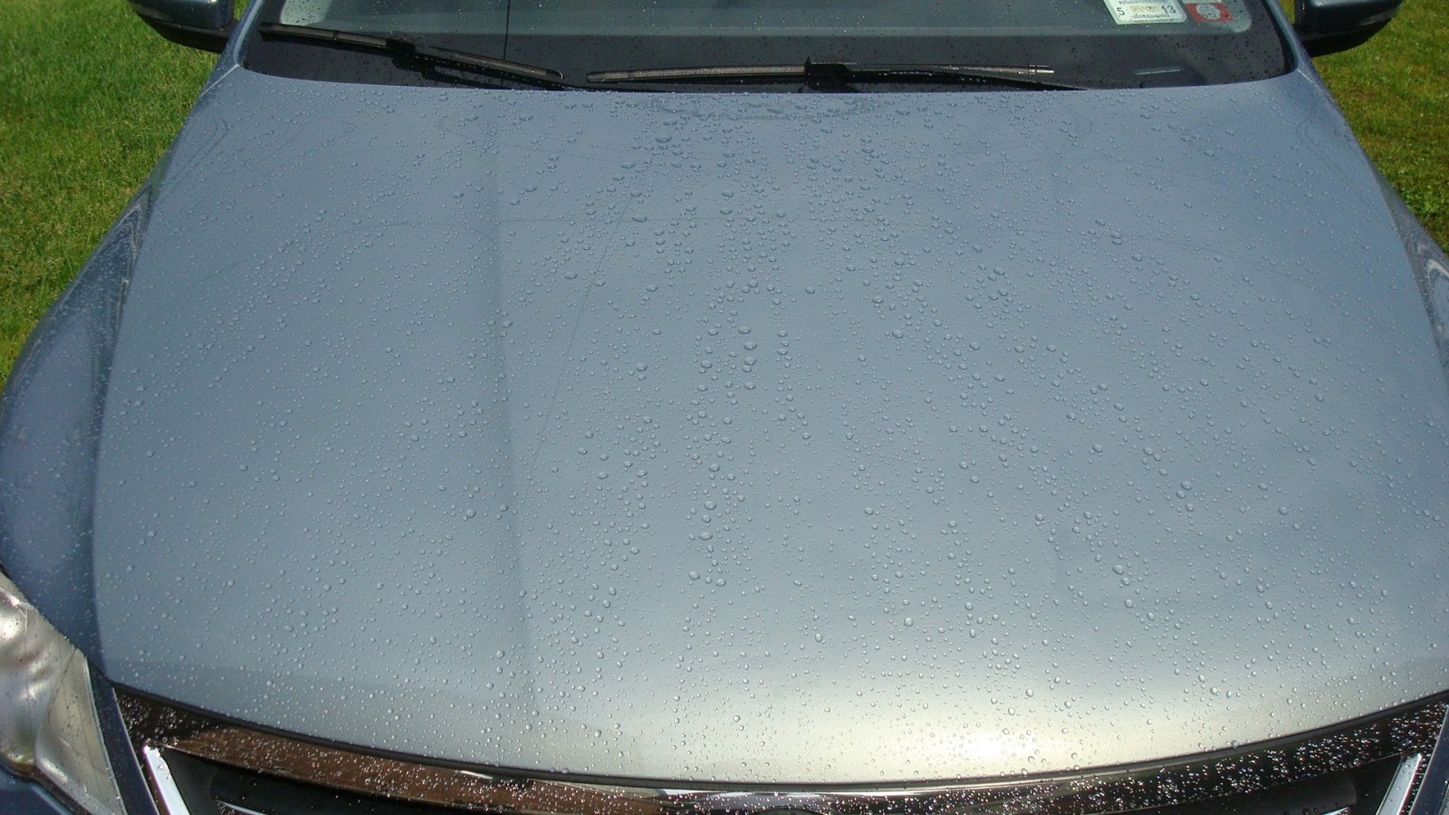 After_Rain_-_Hood_-_Beading_-_DSC03277