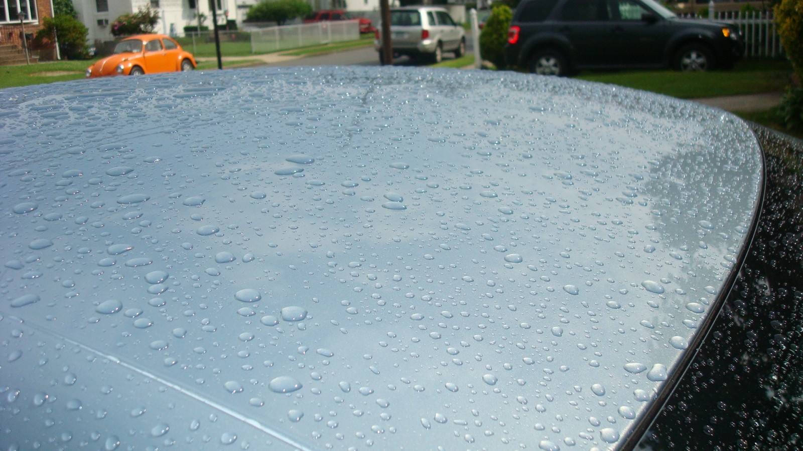 After_Rain_-_Roof_-_Beading_-_DSC03275