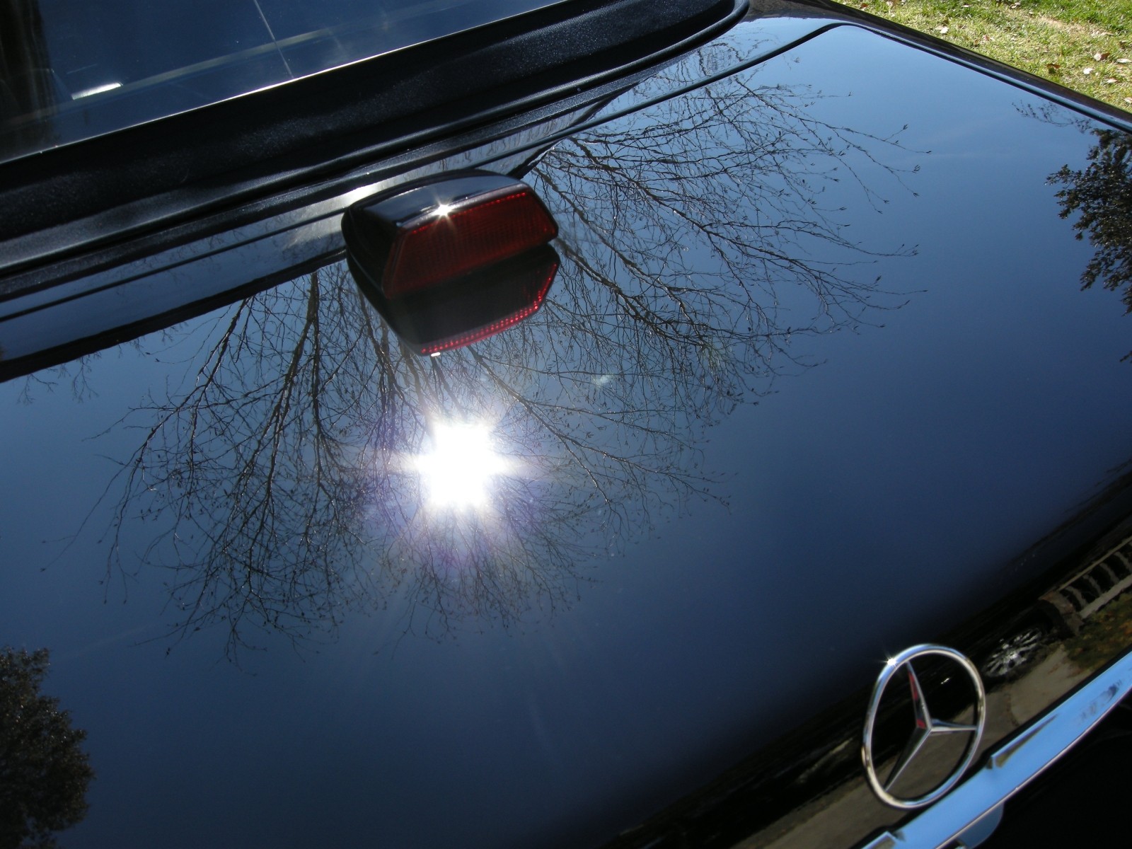 After_Trunk_1