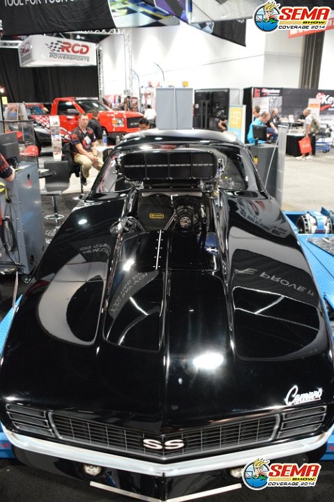 AG-SEMA14-3-1565