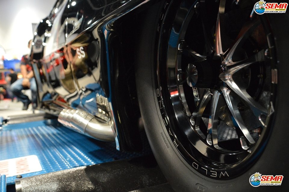 AG-SEMA14-3-1567