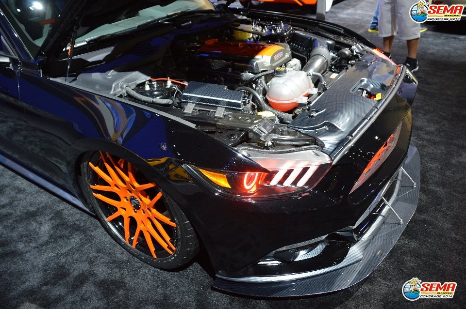 AG-SEMA14-3-1672