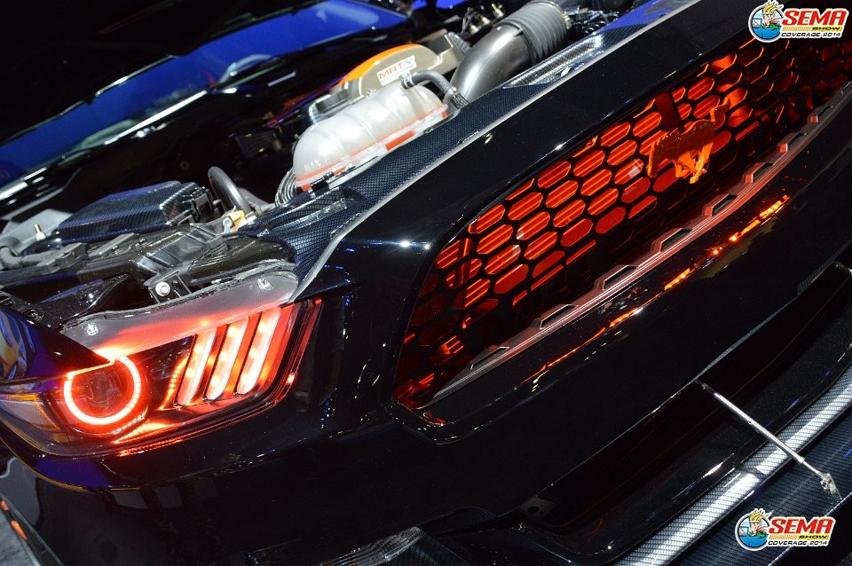 AG-SEMA14-3-1674