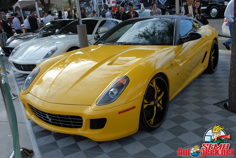 AG1_9926