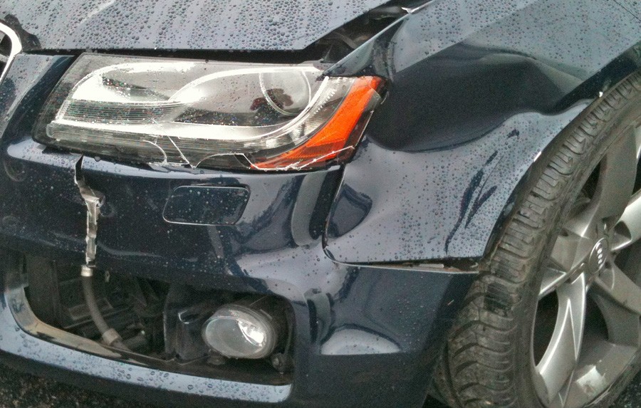 AG2-DeerDamage1
