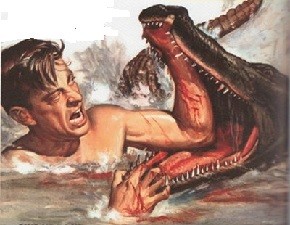 alligatorwrestling