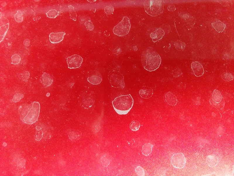 Ash5