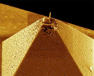 AtomicForceMicroscope