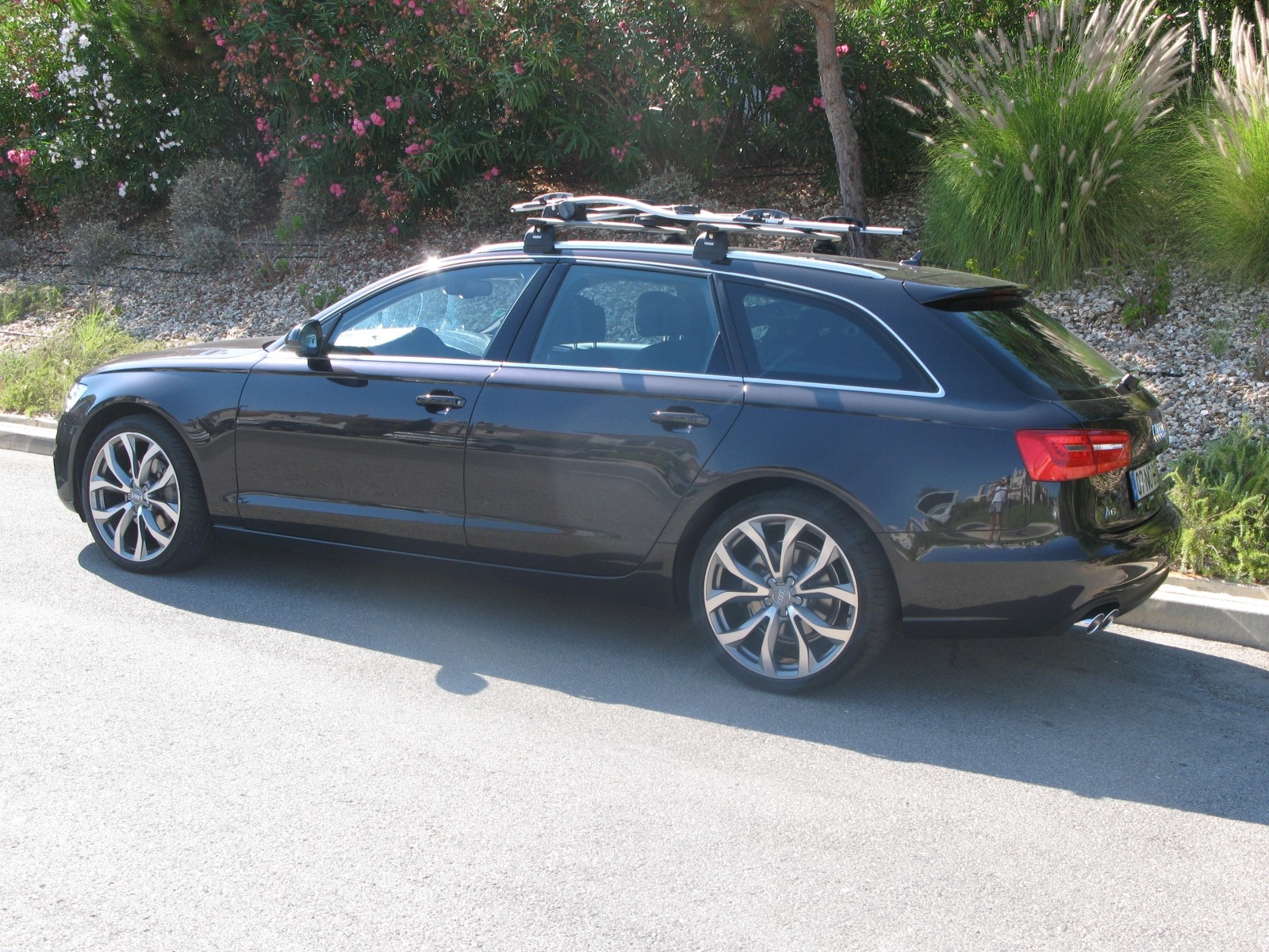 AUDI_traseira
