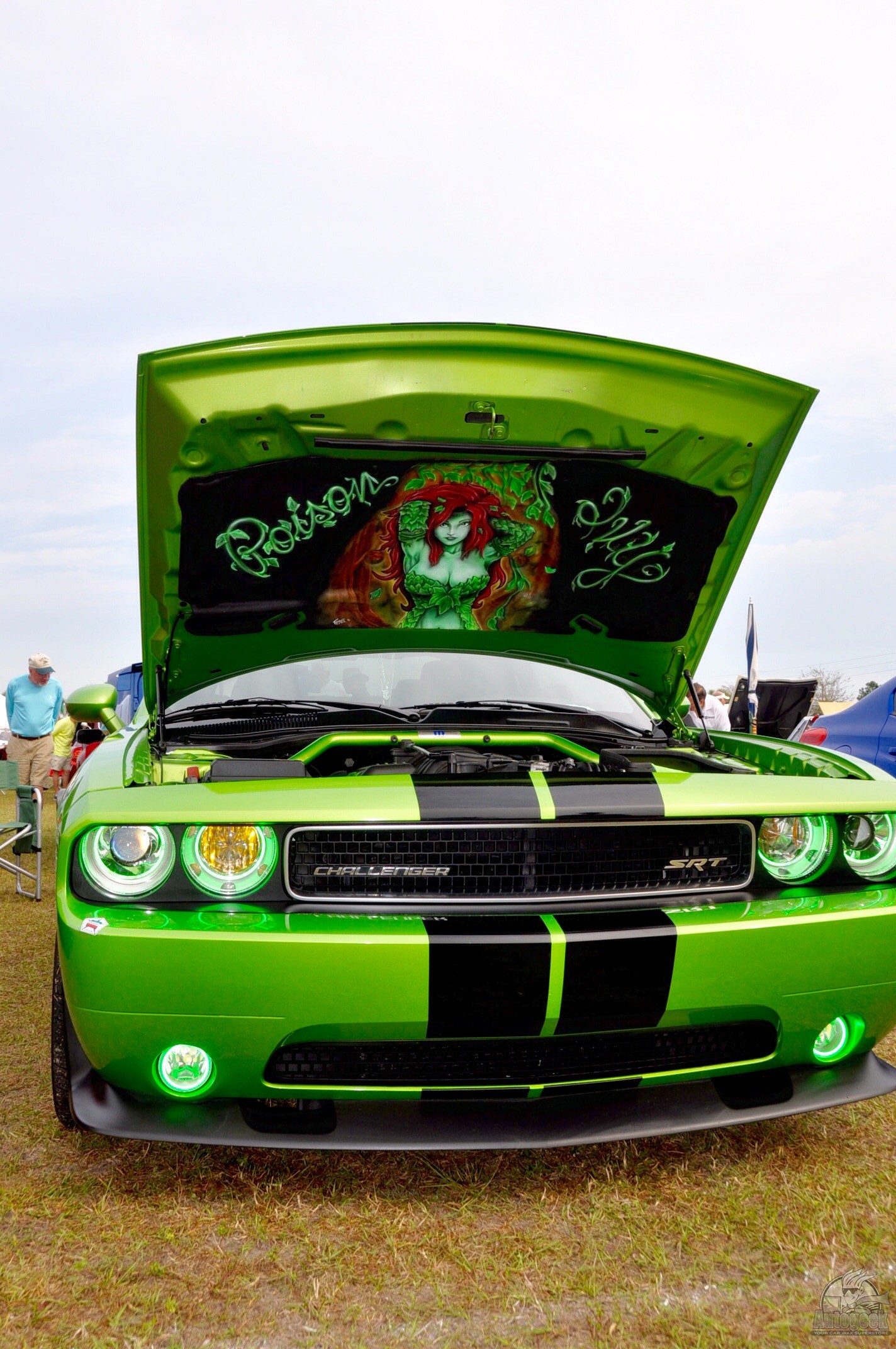 Auto_Geek_Deatil_Fest_2016_DETAILED-_Jennell_Eve_18_