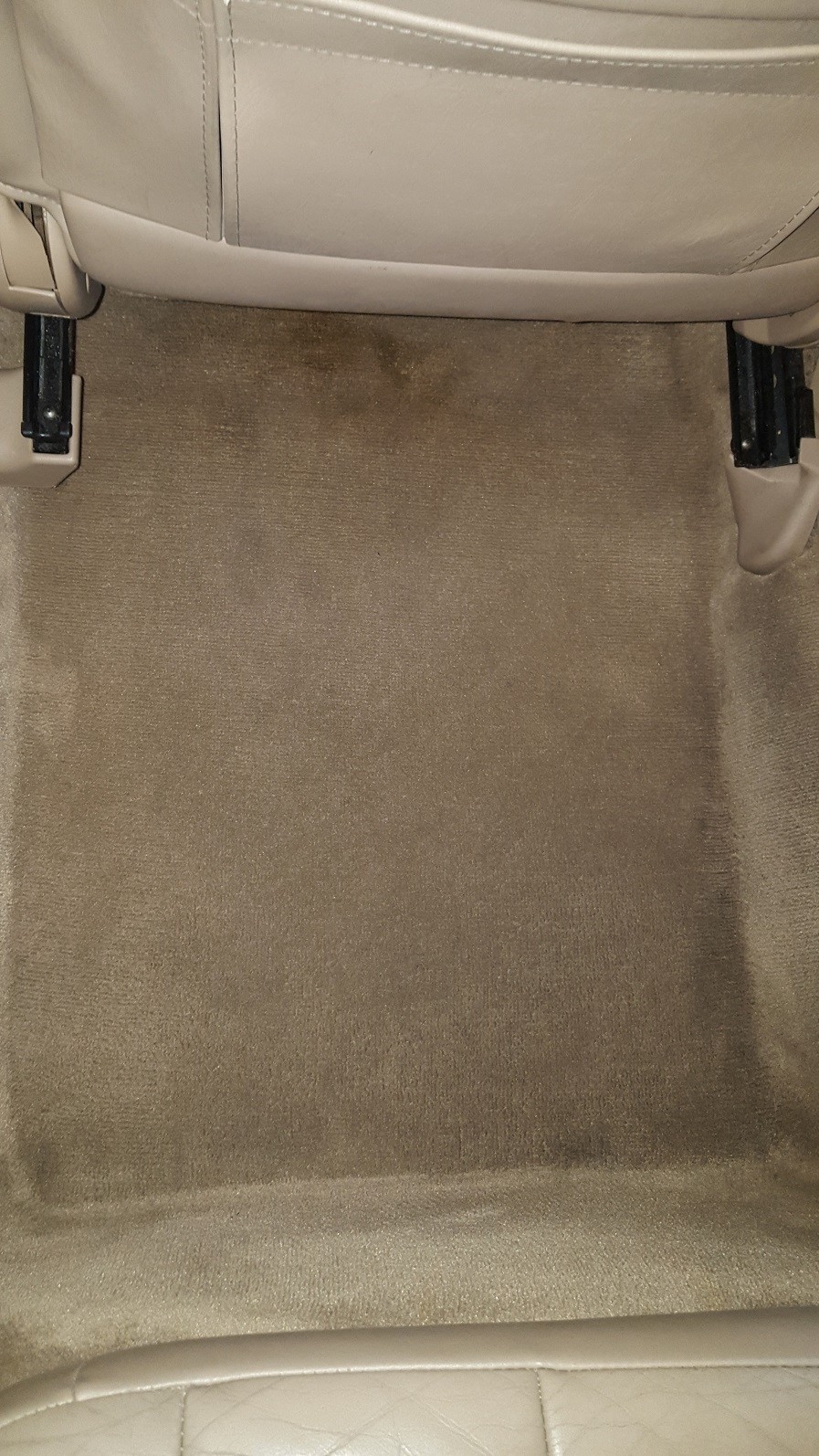 Avalon_Carpet_After