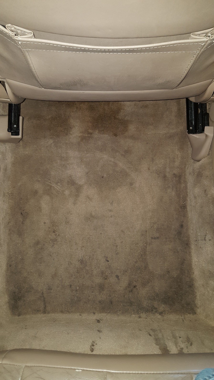 Avalon_Carpet_Before