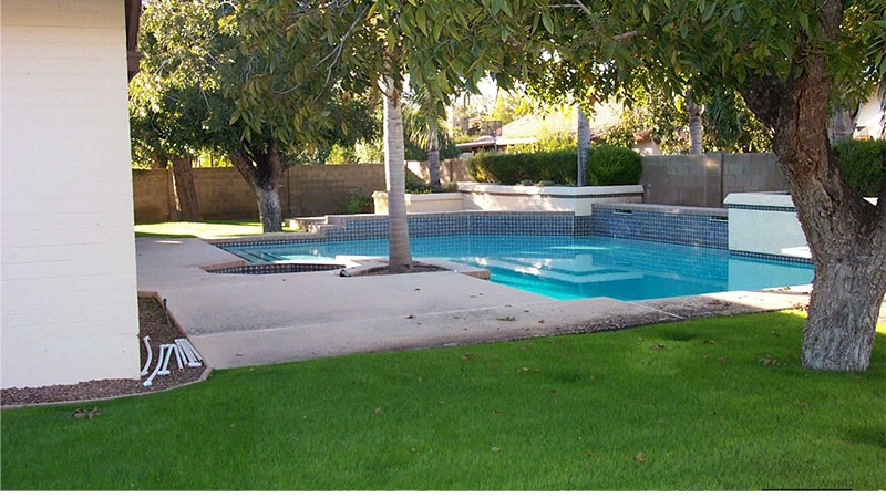 backyard2