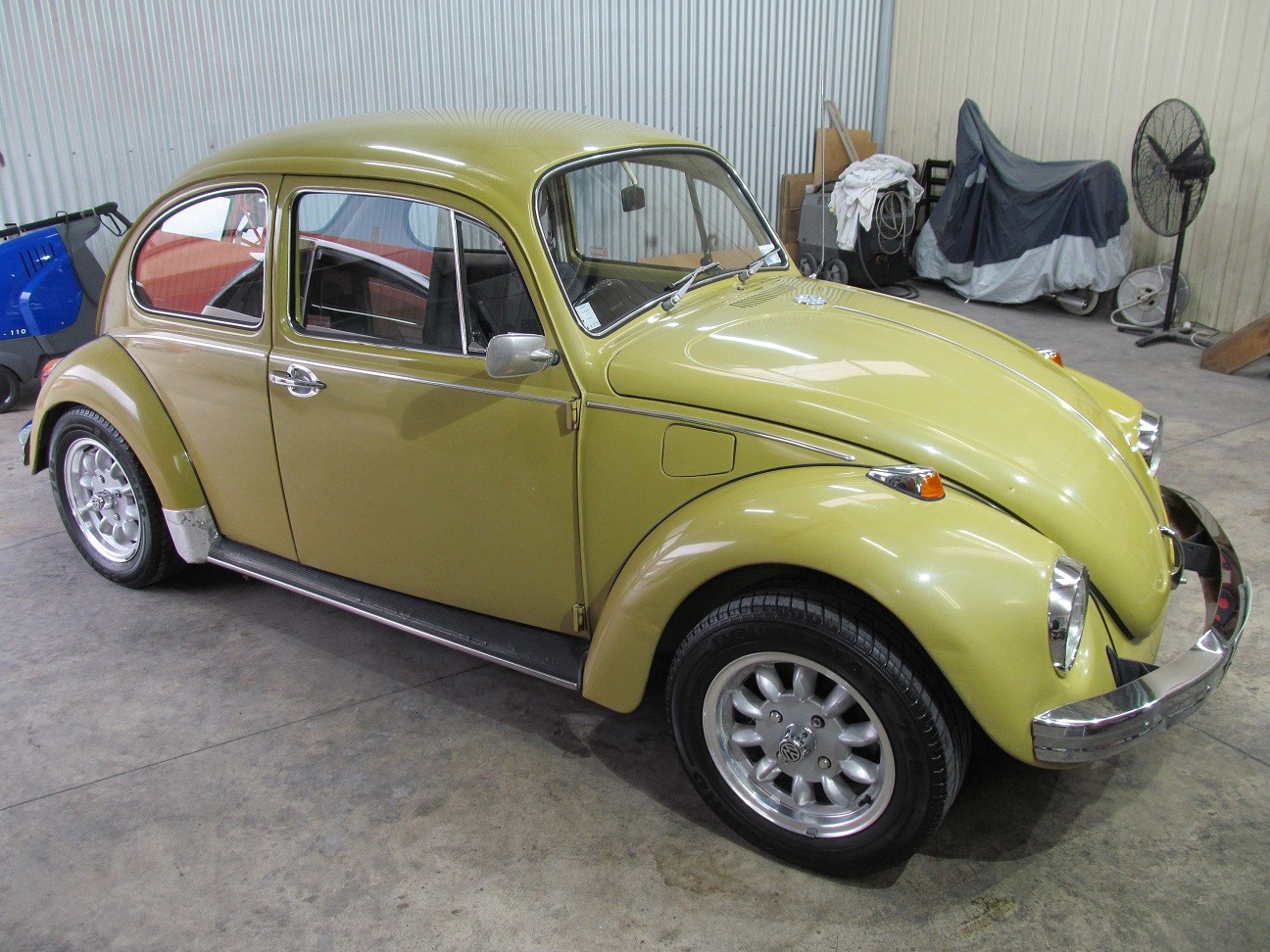 beetle