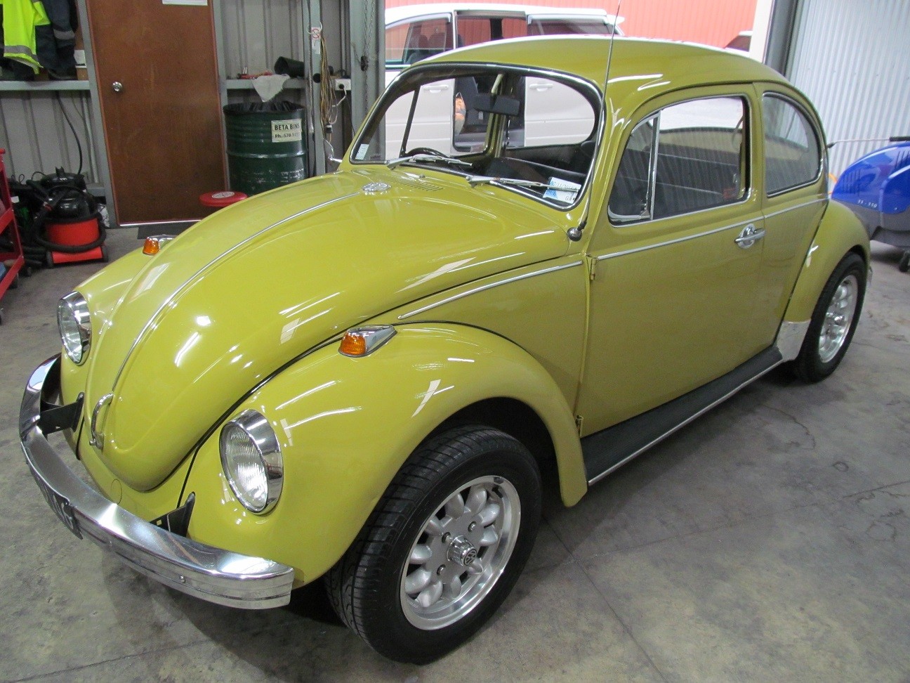 beetle1