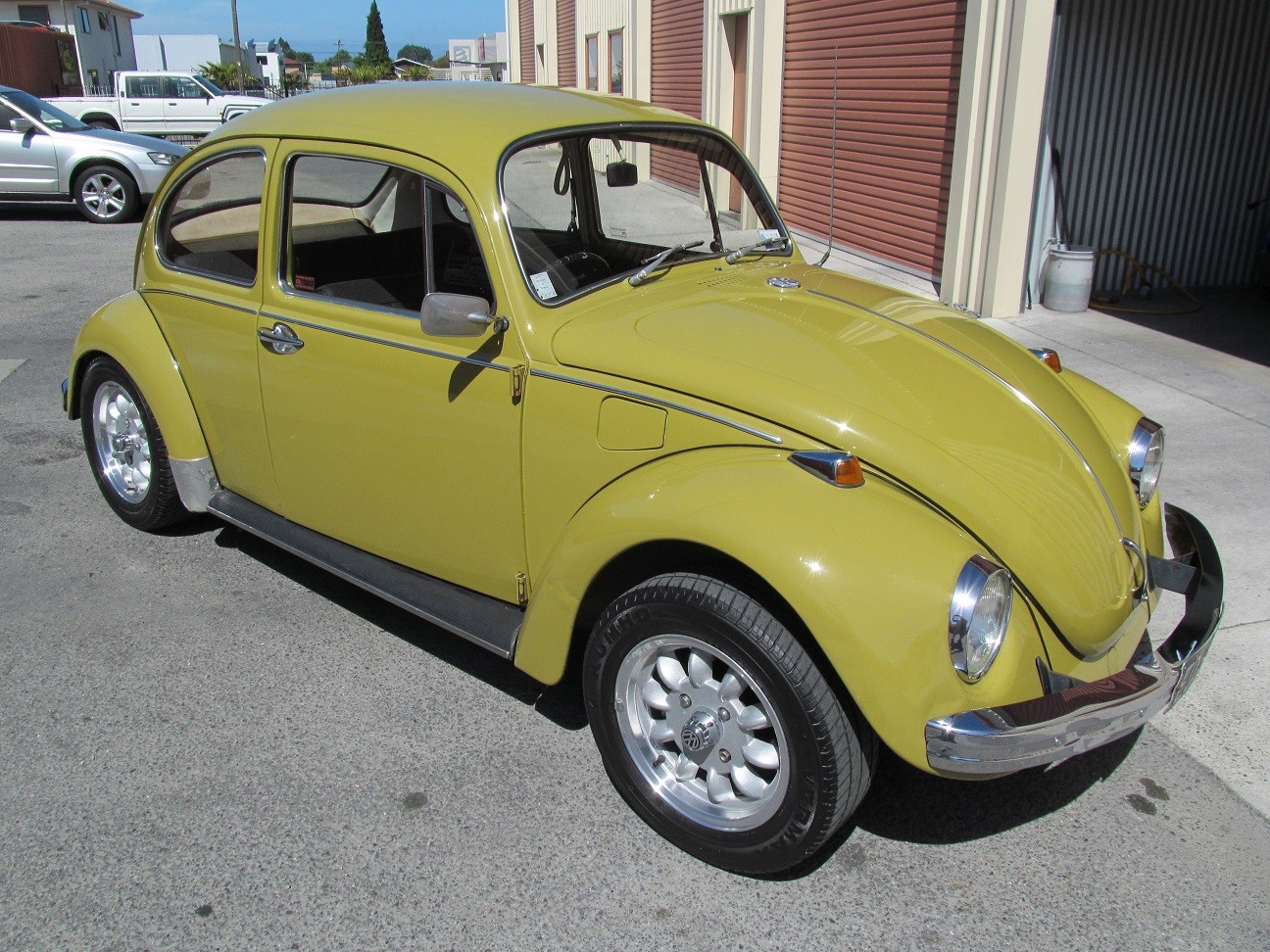 beetle10