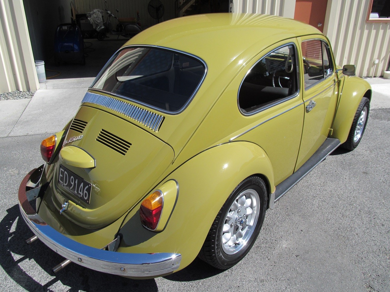 beetle12