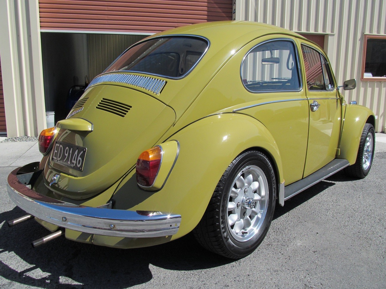beetle13