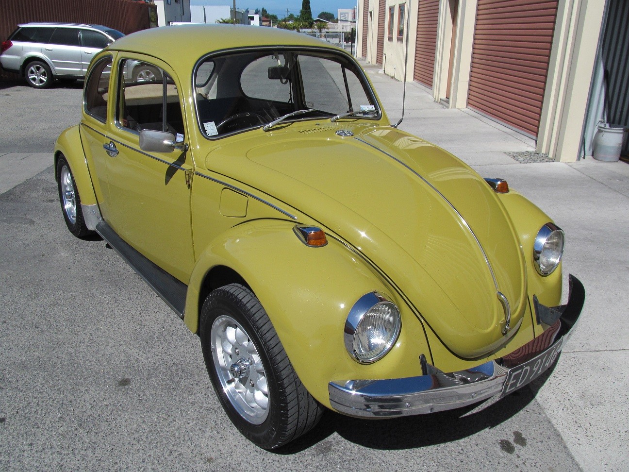 beetle15