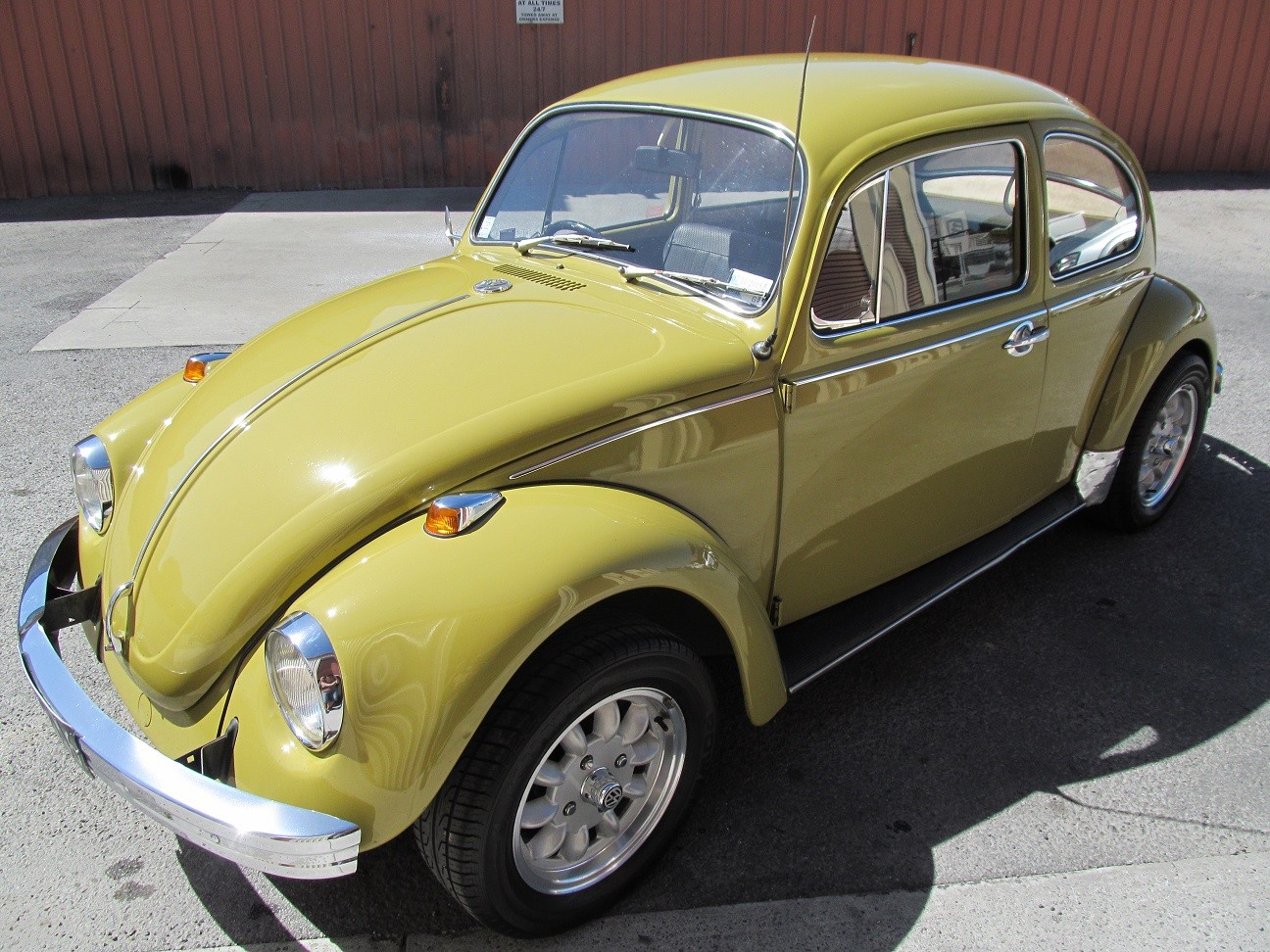 beetle17