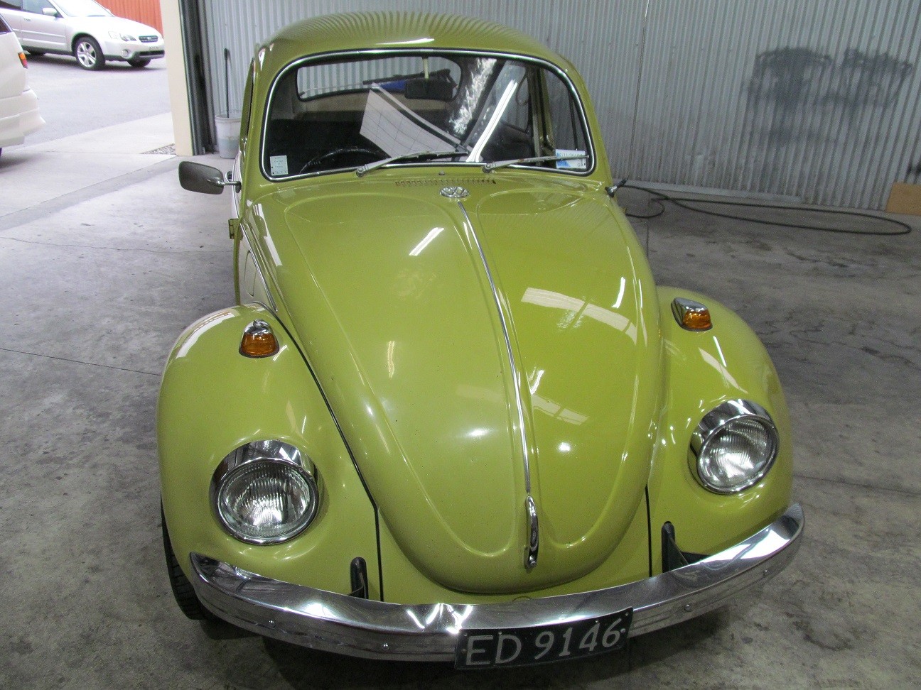 beetle2